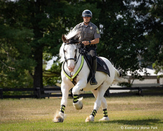 Hytyme Legend KY Horse Park Mounted Police Horse | 1884