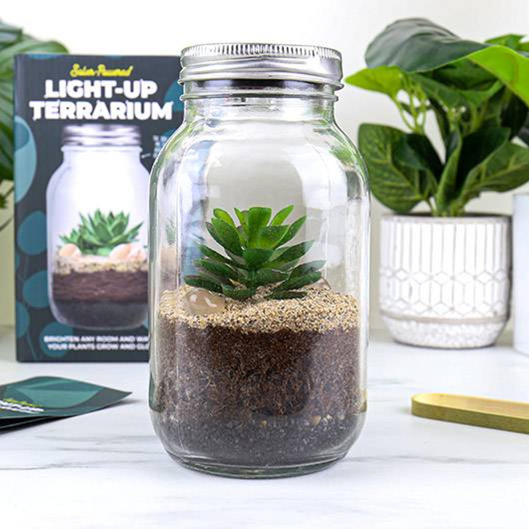 Solar Powered Light Up Terrarium