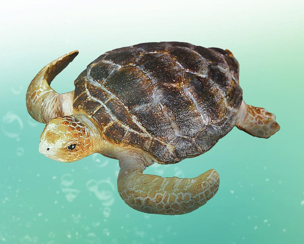 Loggerhead Turtle | Collecta by Breyer | 88094