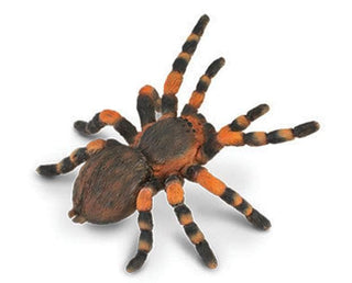 Mexican Redknee Tarantula | Collecta by Breyer | 88338