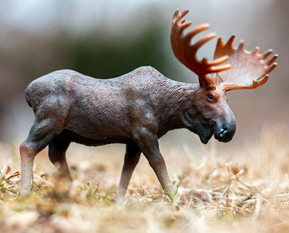 Moose | Breyer CollectA | 88335