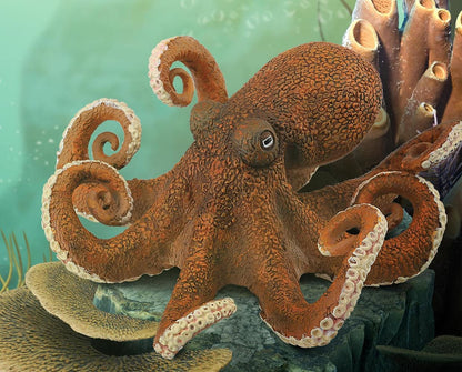 Octopus | Collecta by Breyer | 88485