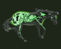 Arachne | 2025 Halloween Horse | B-TR-10344
