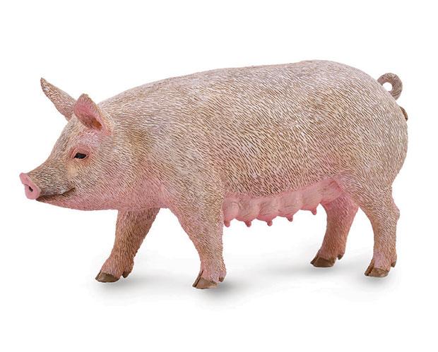 Sow | Breyer Collecta