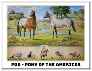 The Idea Series | POA | Breyer Model Horse | 1883