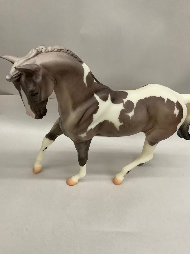 Pre-Owned #711131 Wish On A Star 2011 Breyerfest Special Run | No Box