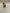 Pre-Owned Breyer | Quarter Horse Stallion 