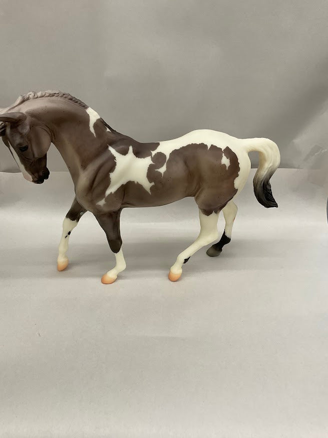 Pre-Owned #711131 Wish On A Star 2011 Breyerfest Special Run | No Box