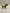 Pre-Owned Breyer Model Horse | Tan Colt