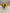 Pre-Owned Breyer Family Arabian Mare (Palomino) | No Box