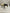 Pre-Owned Breyer | 