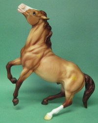 Pre-Owned | Colonial Spanish Mustang | "Warrior" | 701846  | No Box