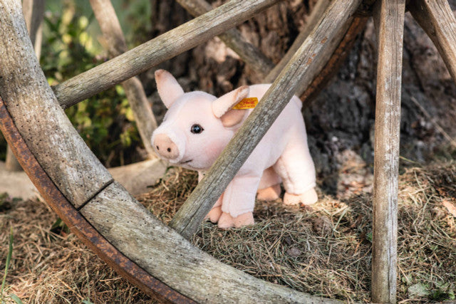 Steiff SISSI PIGLET, 12 INCHES, EAN 067402