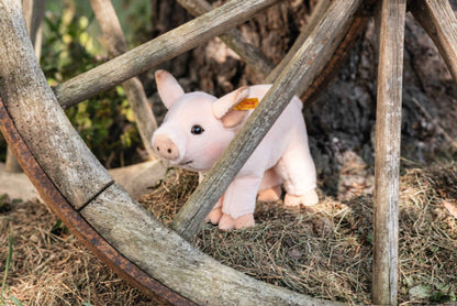 Steiff SISSI PIGLET, 12 INCHES, EAN 067402