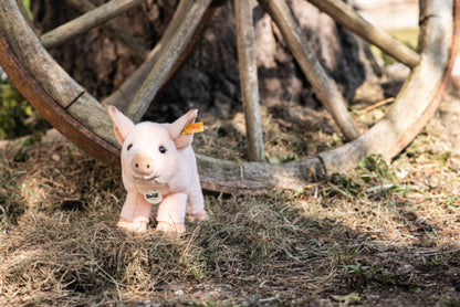 Steiff SISSI PIGLET, 12 INCHES, EAN 067402