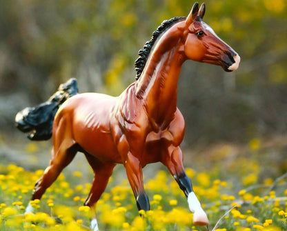 Adamek | Breyer Model Horse | 1861