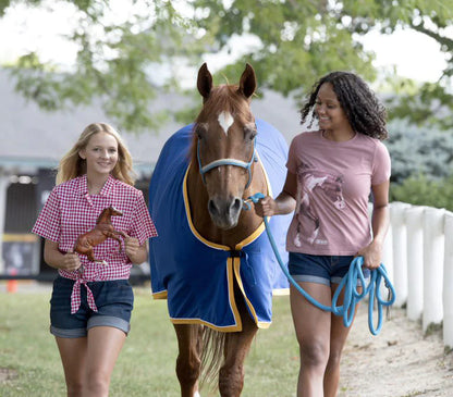 Checkers | Breyer Model Horse