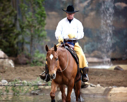 Checkers | Breyer Model Horse