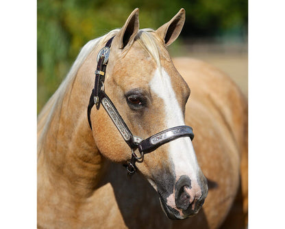 Ebony Shines and Charlize | Breyer Model Horse | 1872