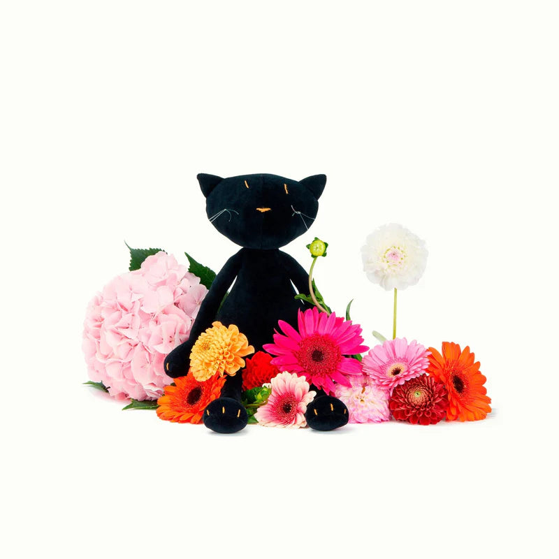 GISEL, THE CAT
