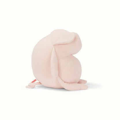 HELMUT, THE PIG