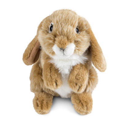Brown Sitting Lop Eared Rabbit