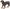 Rottweiler Dog | Collecta by Breyer