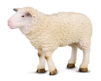 Sheep | Collecta by Breyer | 88008