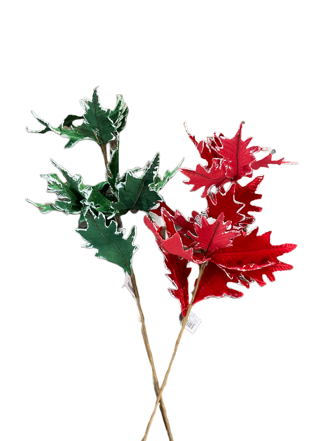 Poinsettias Pick