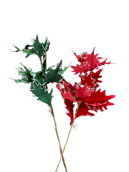 Poinsettias Pick