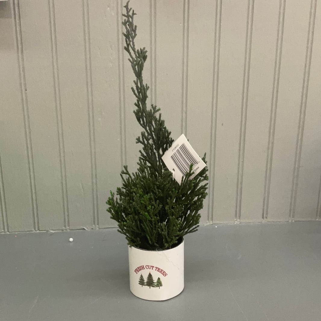 Potted Tree “Fresh Cut Tree”