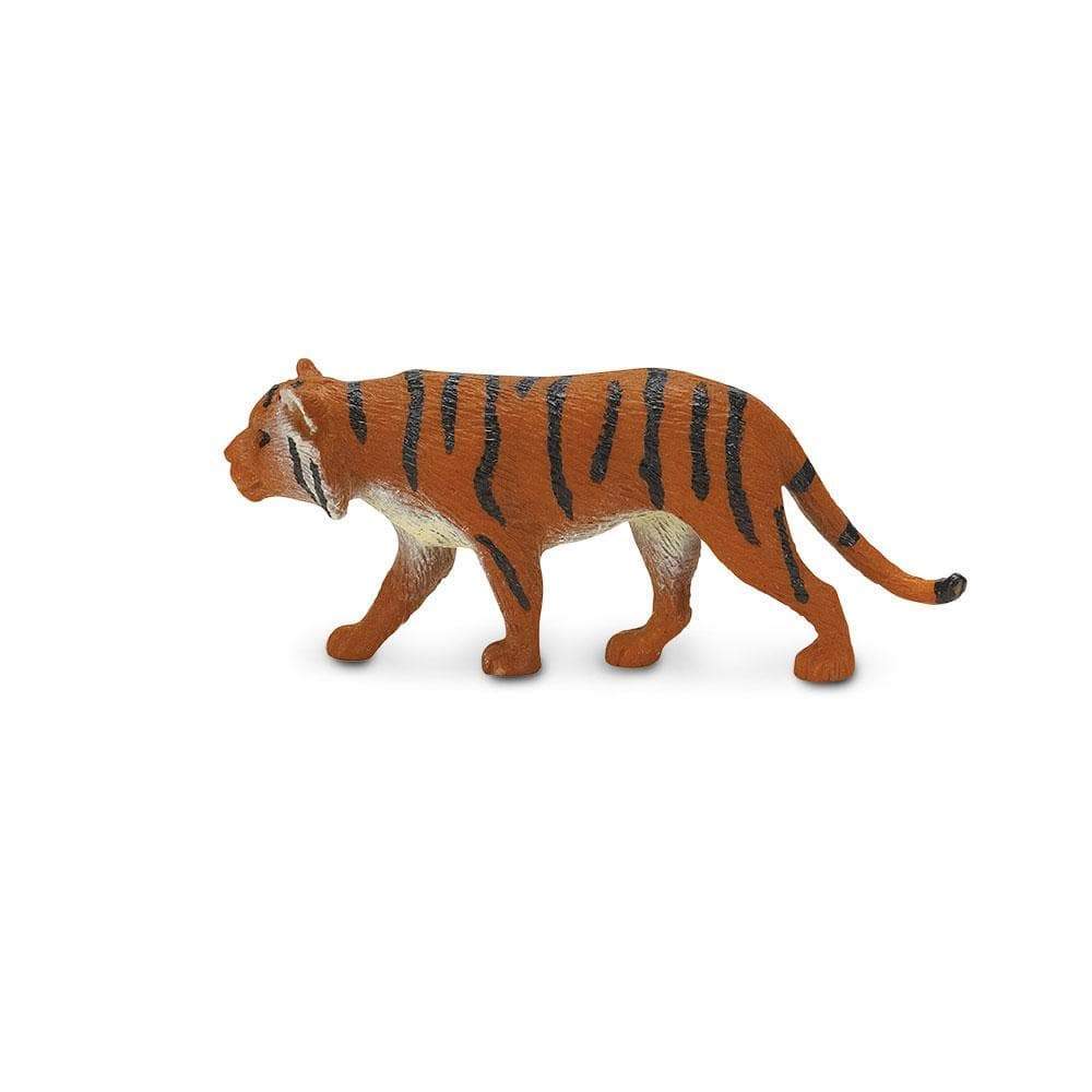 Siberian Tigers- Good Luck Mini