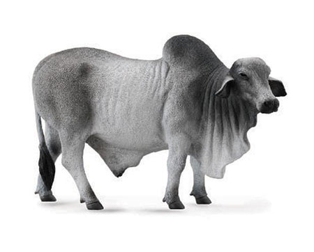 Brahman Bull | Collecta by Breyer | 88579