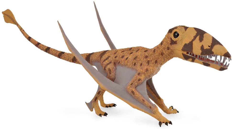 Dimorphodon