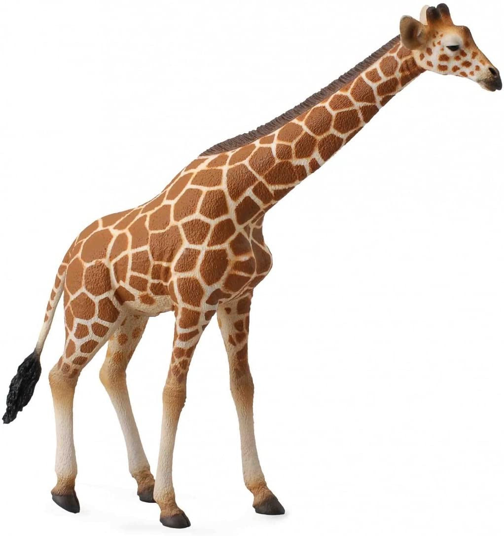 Reticulated Giraffe | Collecta by Breyer | 88534