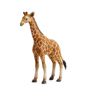 Reticulated Giraffe Calf | Collecta by Breyer | 88535