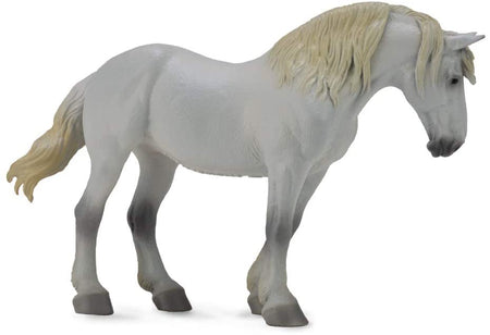 Percheron Mare | Grey | 800029