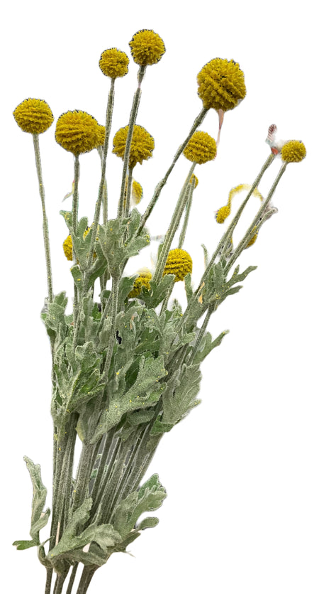 Floral Yellow Pick