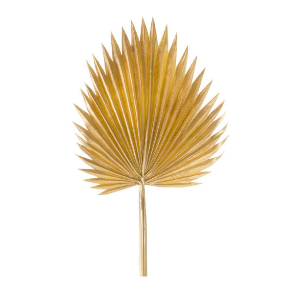 Gold Fan Palm