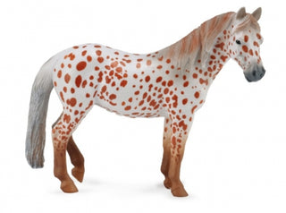 British Spotted pony mare