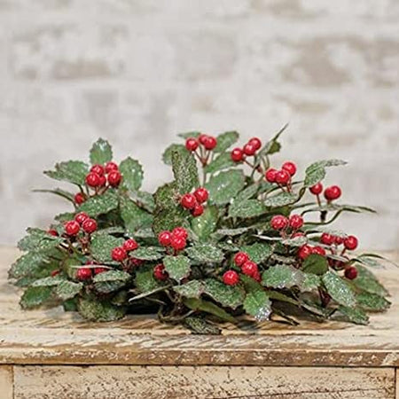 CWI 10" Holly Berry Half Sphere