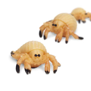 Hermit Crab - Good Luck Minis