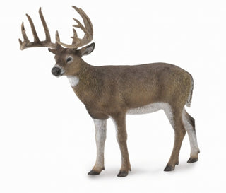 White Tail Deer CollectA