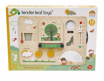 Wooden Weather Watch Activity