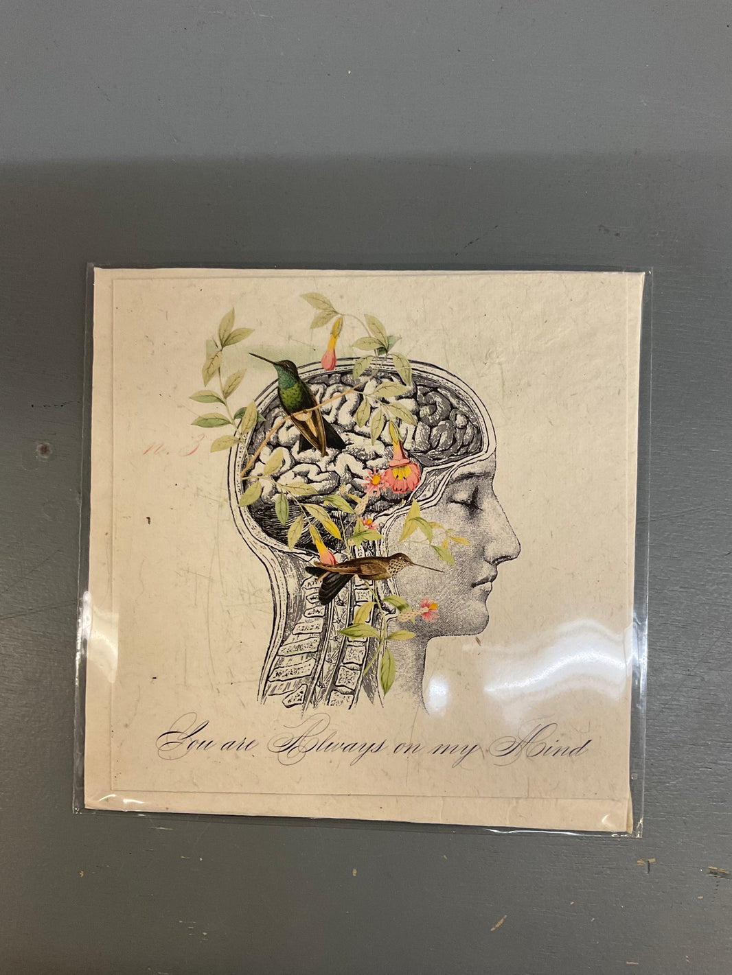 LOE 6x6 Cards