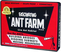 Fascinating Ant Farm