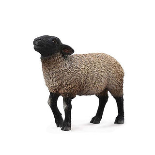 Suffolk Sheep | CollectA