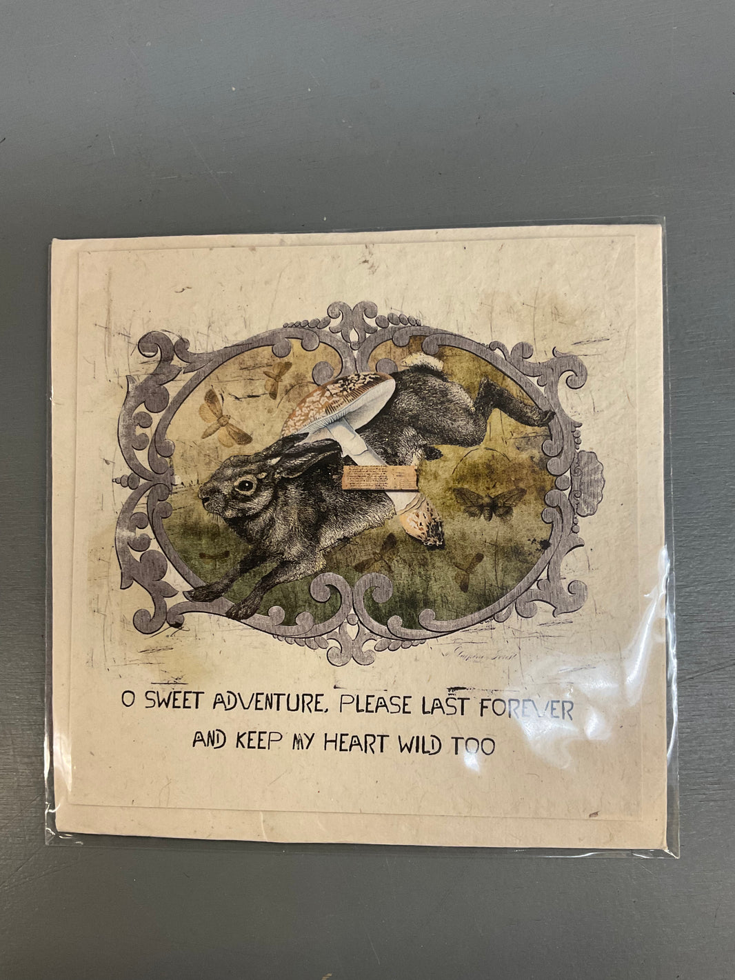 LOE 6x6 Cards