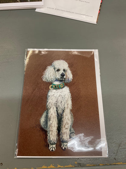 Graviss Studio USA Card