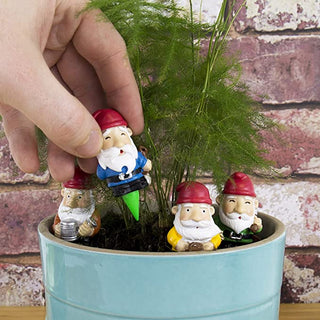 Mini Plant Pot Gnomes